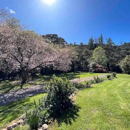 Coromandel Secluded Log Cabin Retreat Hikuai Exterior photo