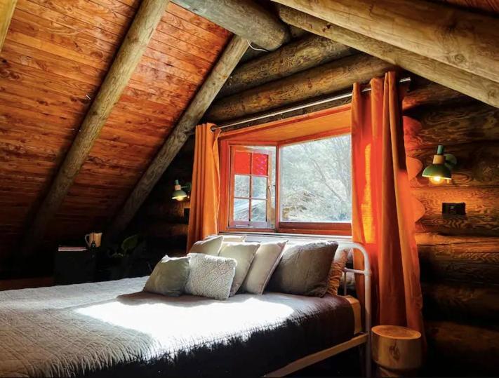 Coromandel Secluded Log Cabin Retreat Hikuai Exterior photo